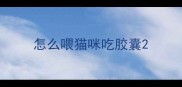 怎么喂猫咪吃胶囊