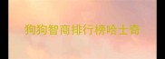 狗狗智商排行榜哈士奇
