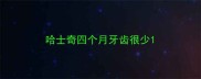 哈士奇四个月牙齿很少