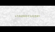 6个月边牧吃什么毛色好