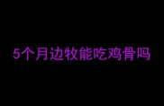 5个月边牧能吃鸡骨吗