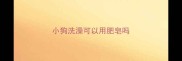 小狗洗澡可以用肥皂吗