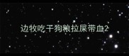 边牧吃干狗粮拉屎带血