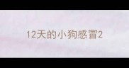 12天的小狗感冒