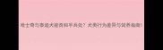 哈士奇与泰迪犬能否和平共处犬类行为差异与饲养指南