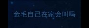 金毛自己在家会叫吗