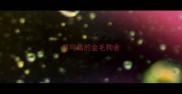 最可靠的金毛狗舍