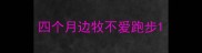 四个月边牧不爱跑步