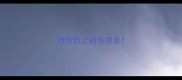 边牧脸上的毛很长