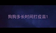 狗狗多长时间打疫苗