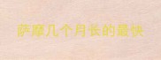 萨摩几个月长的最快