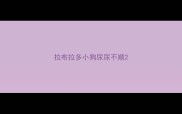 拉布拉多小狗尿尿不顺