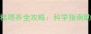 3个月大狗狗的奶糕喂养全攻略科学指南助力幼犬健康发育