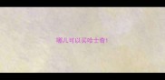 哪儿可以买哈士奇