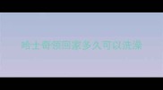 哈士奇领回家多久可以洗澡
