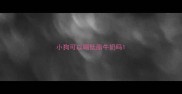 小狗可以喝低脂牛奶吗