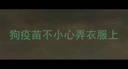 狗疫苗不小心弄衣服上