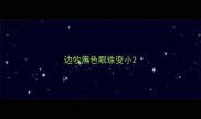 边牧黑色眼珠变小