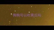 狗狗可以吃黄瓜吗