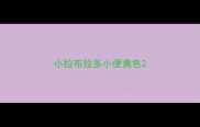 小拉布拉多小便黄色