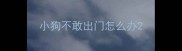 小狗不敢出门怎么办