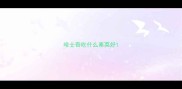 哈士奇吃什么素菜好