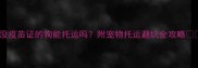 最新没疫苗证的狗能托运吗附宠物托运避坑全攻略
