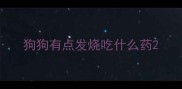 狗狗有点发烧吃什么药
