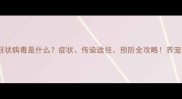 狗狗冠状病毒是什么症状传染途径预防全攻略养宠必看