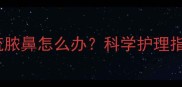 拉布拉多幼犬流脓鼻怎么办科学护理指南及家庭疗法