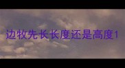 边牧先长长度还是高度