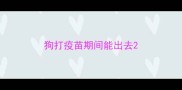 狗打疫苗期间能出去