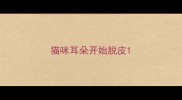 猫咪耳朵开始脱皮