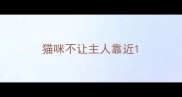 猫咪不让主人靠近
