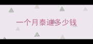 一个月泰迪多少钱