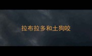 拉布拉多和土狗咬