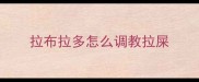 拉布拉多怎么调教拉屎