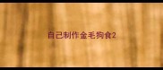自己制作金毛狗食