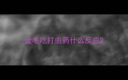 金毛吃打虫药什么反应