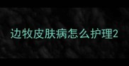 边牧皮肤病怎么护理