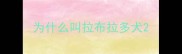 为什么叫拉布拉多犬