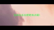 拉布拉多拉粑粑有点稀