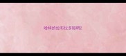 啥样的拉布拉多聪明