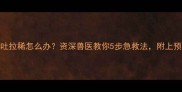 猫咪呕吐拉稀怎么办资深兽医教你5步急救法附上预防清单