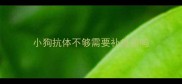 小狗抗体不够需要补疫苗吗