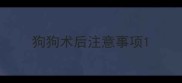 狗狗术后注意事项