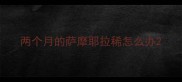 两个月的萨摩耶拉稀怎么办