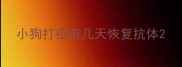 小狗打疫苗几天恢复抗体