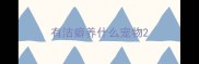 有洁癖养什么宠物