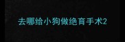 去哪给小狗做绝育手术